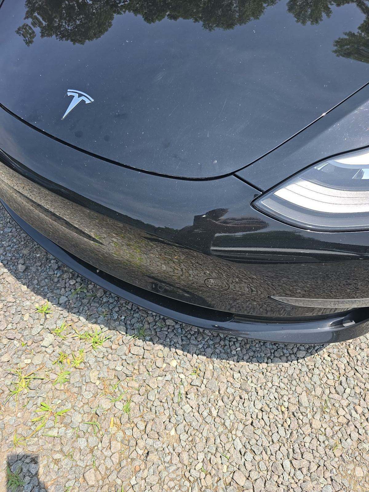 2021 Tesla Model 3 Standard Range Plus RWD