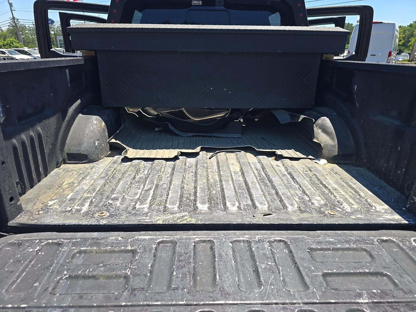 FORD F-150 - 10