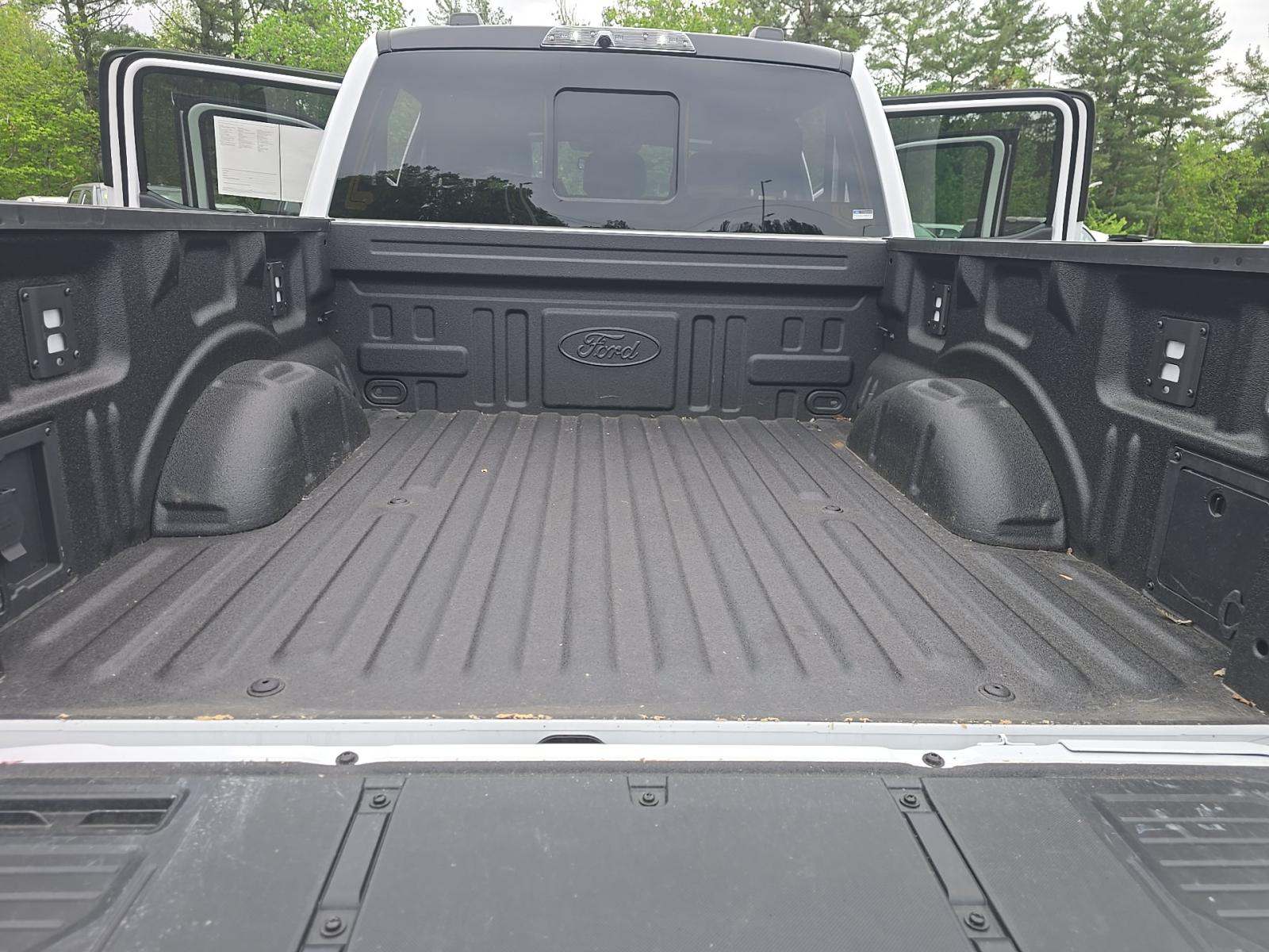 FORD F-150 - 10