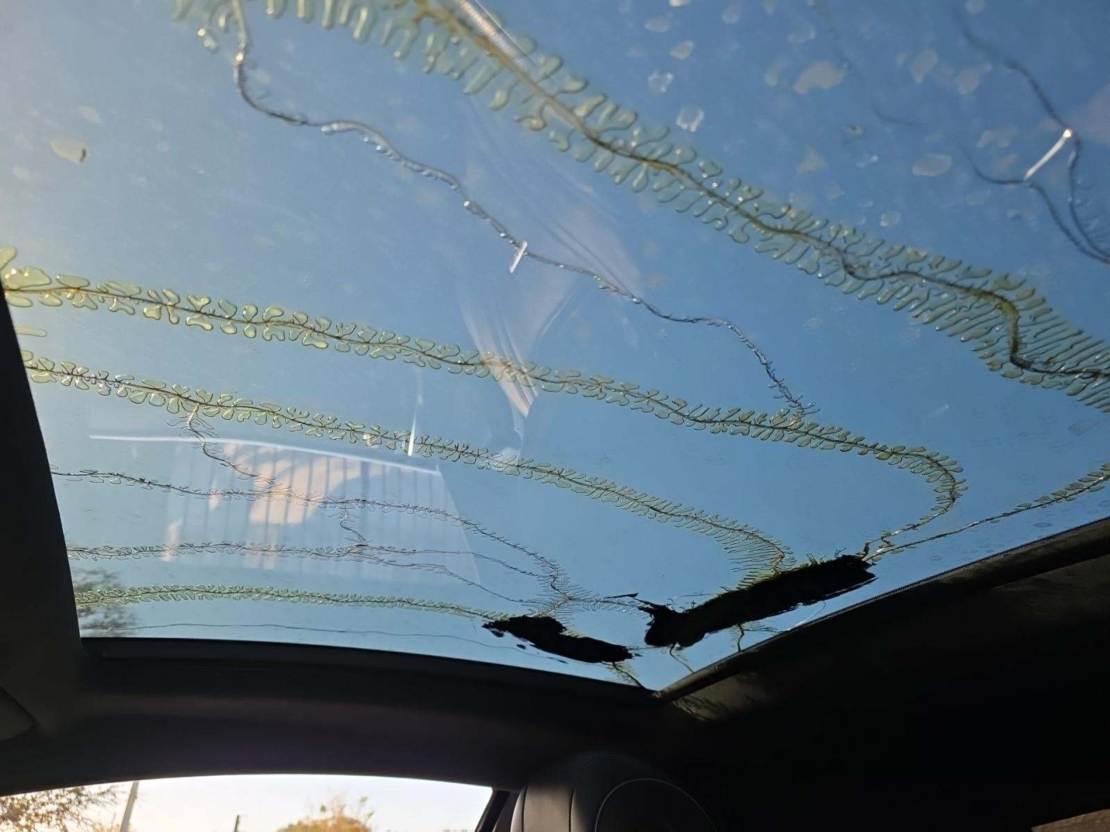 2017 Mercedes-Benz S-Class AMG S 63 AWD