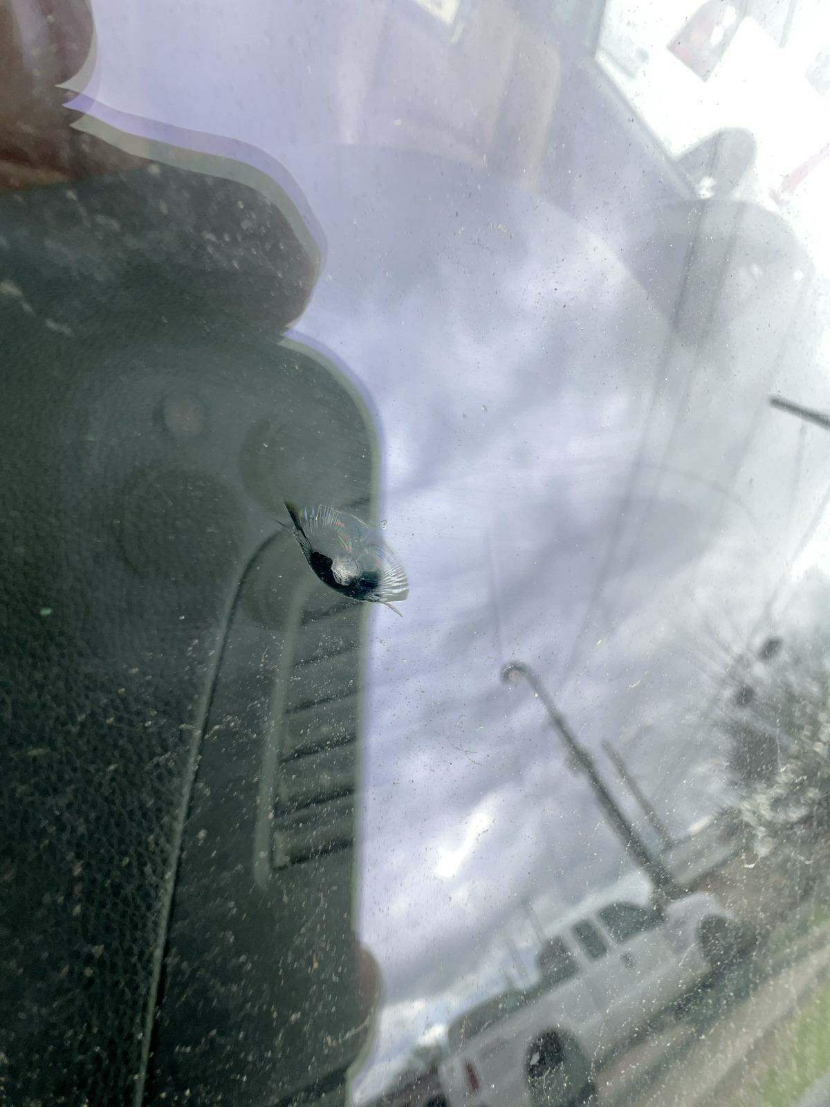 2011 BMW 3 Series 335is RWD