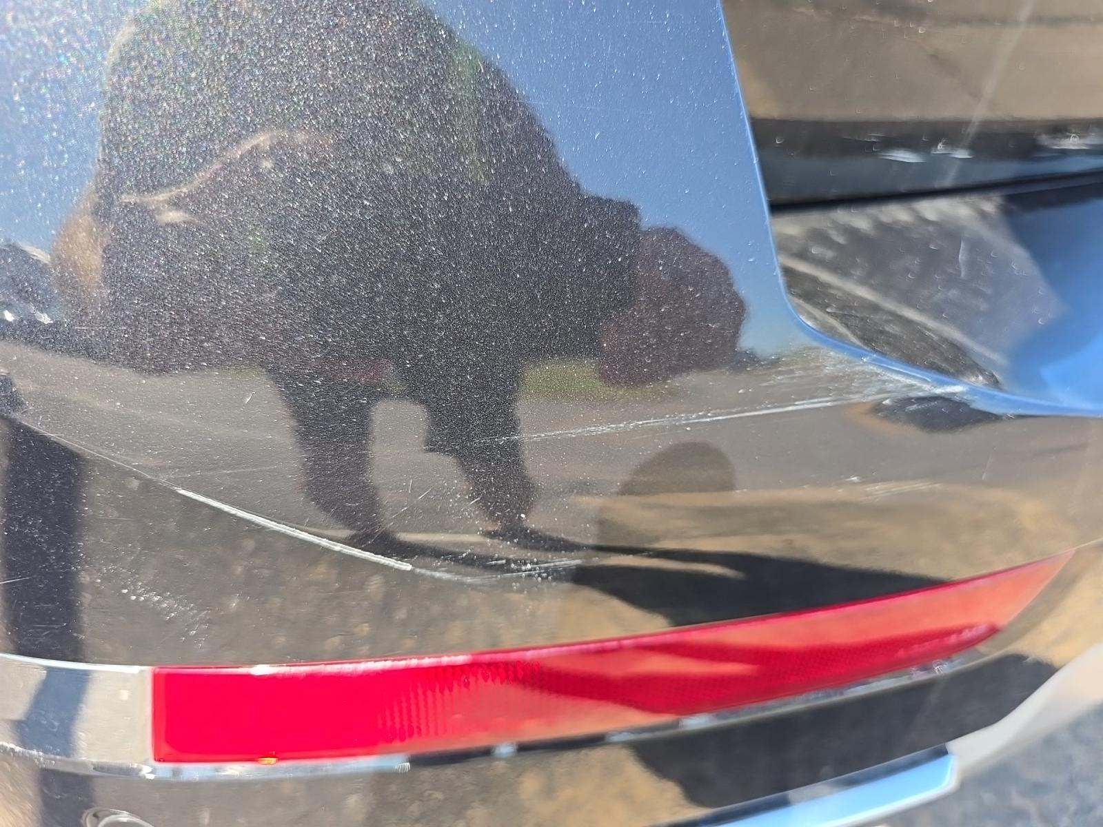 2023 BMW X7 xDrive40i AWD