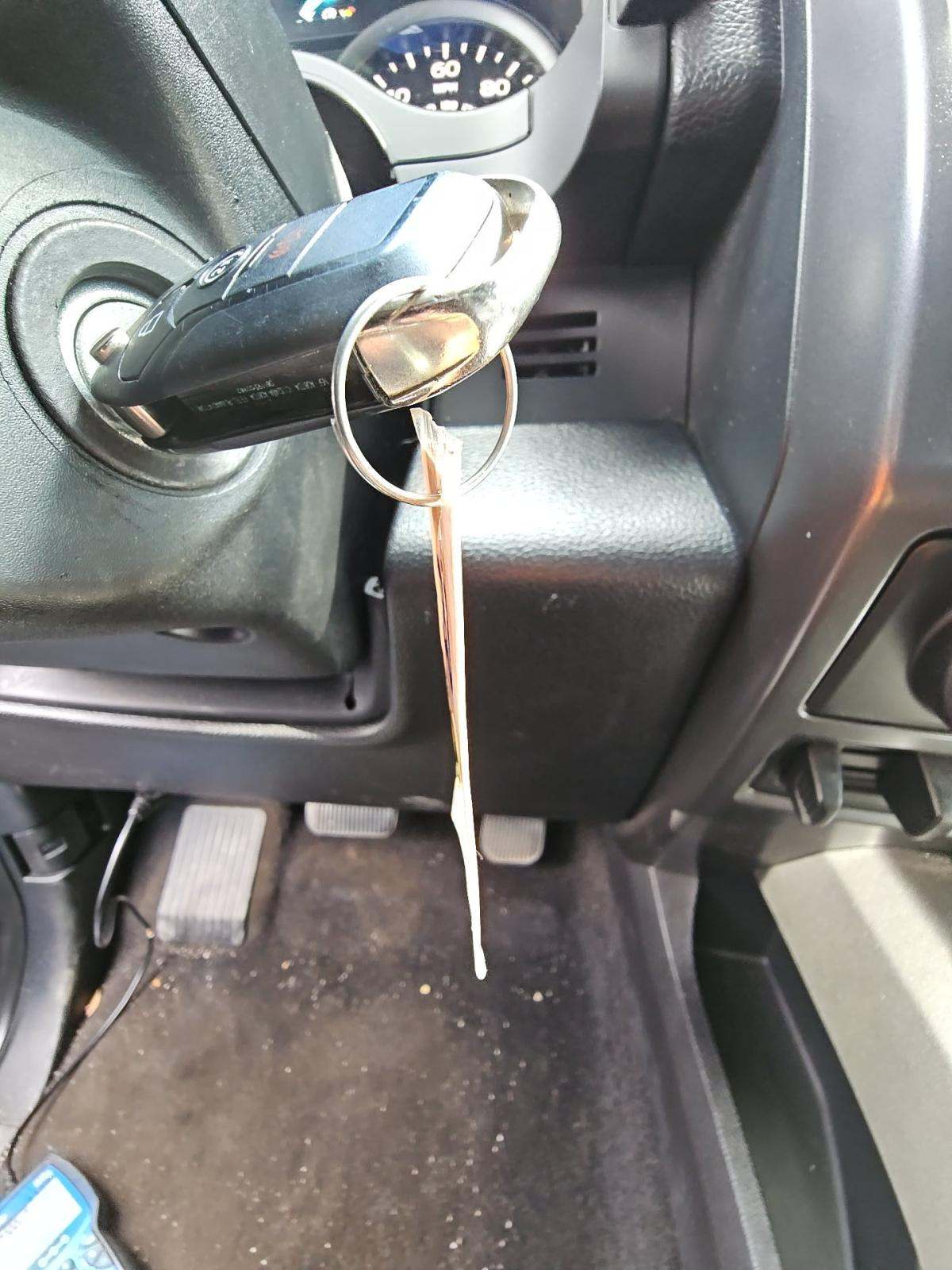 2019 Ford F-150 XLT AWD