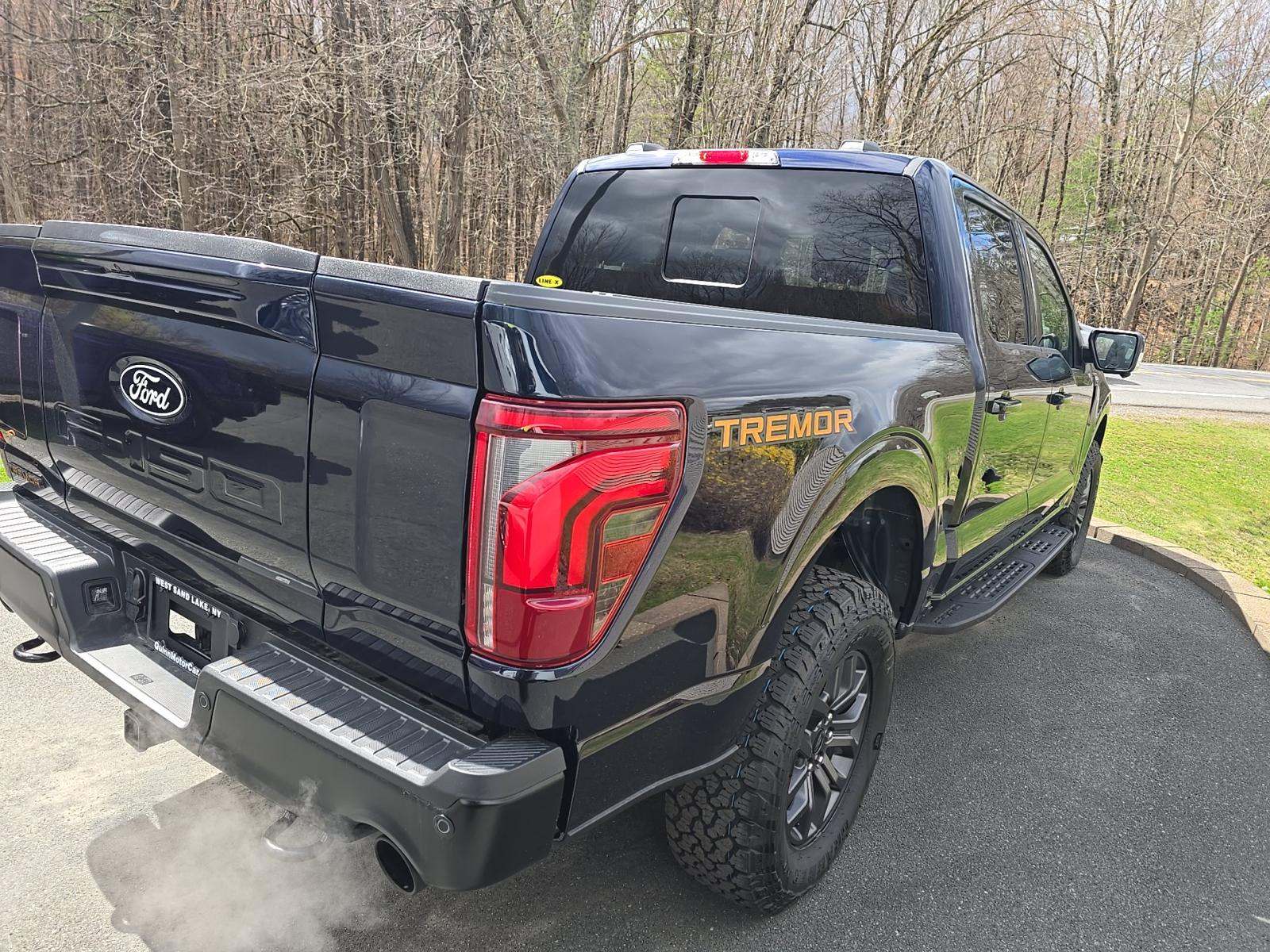 FORD F-150 - 3