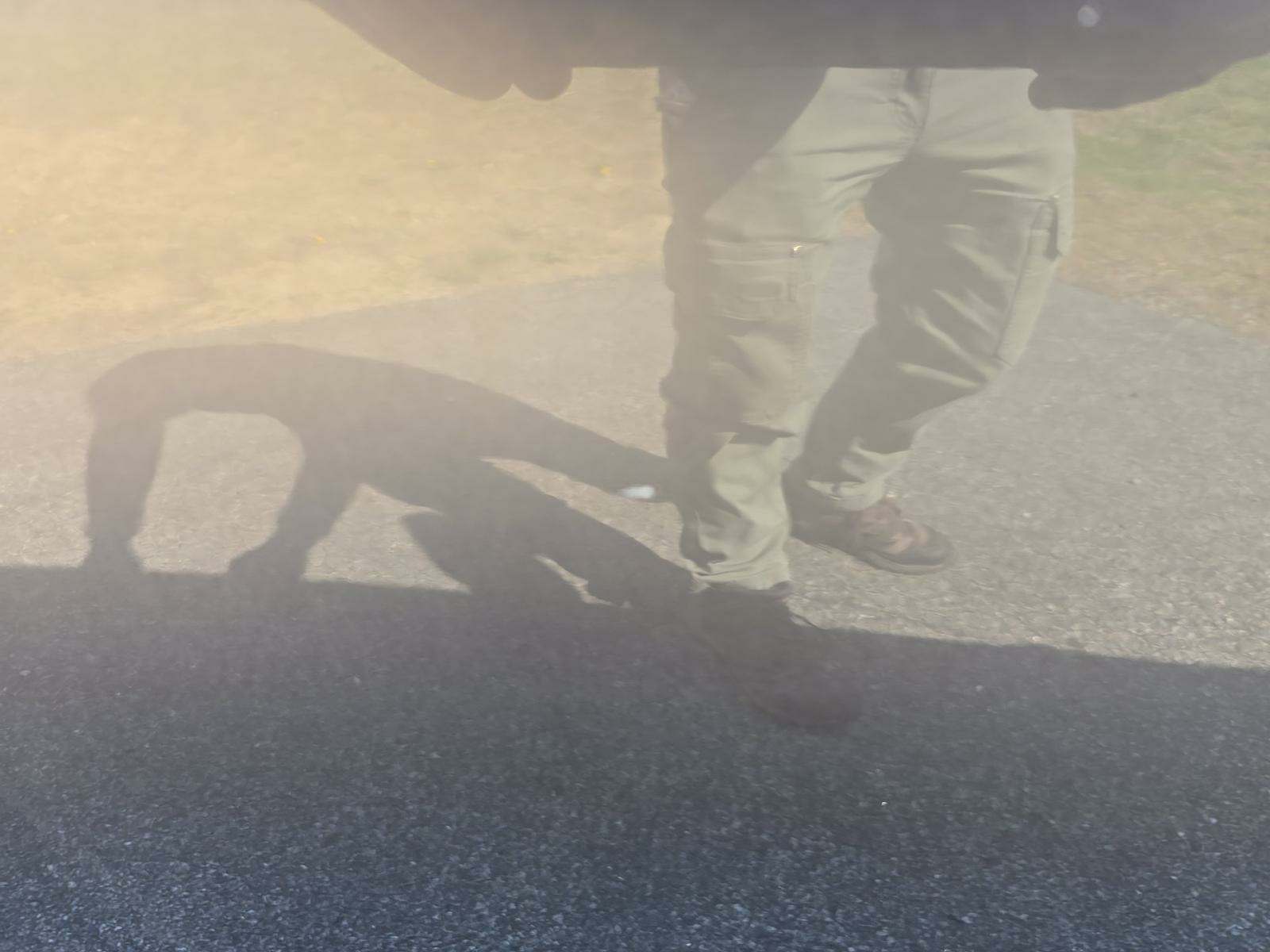 2011 Toyota Sienna LE FWD