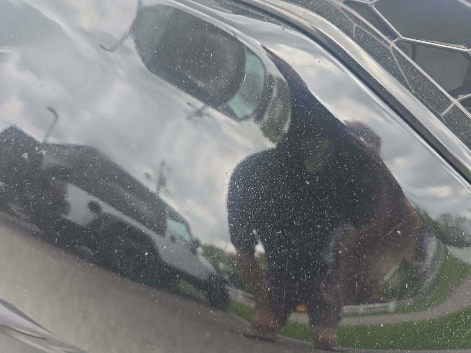 2017 Honda CR-V EX AWD