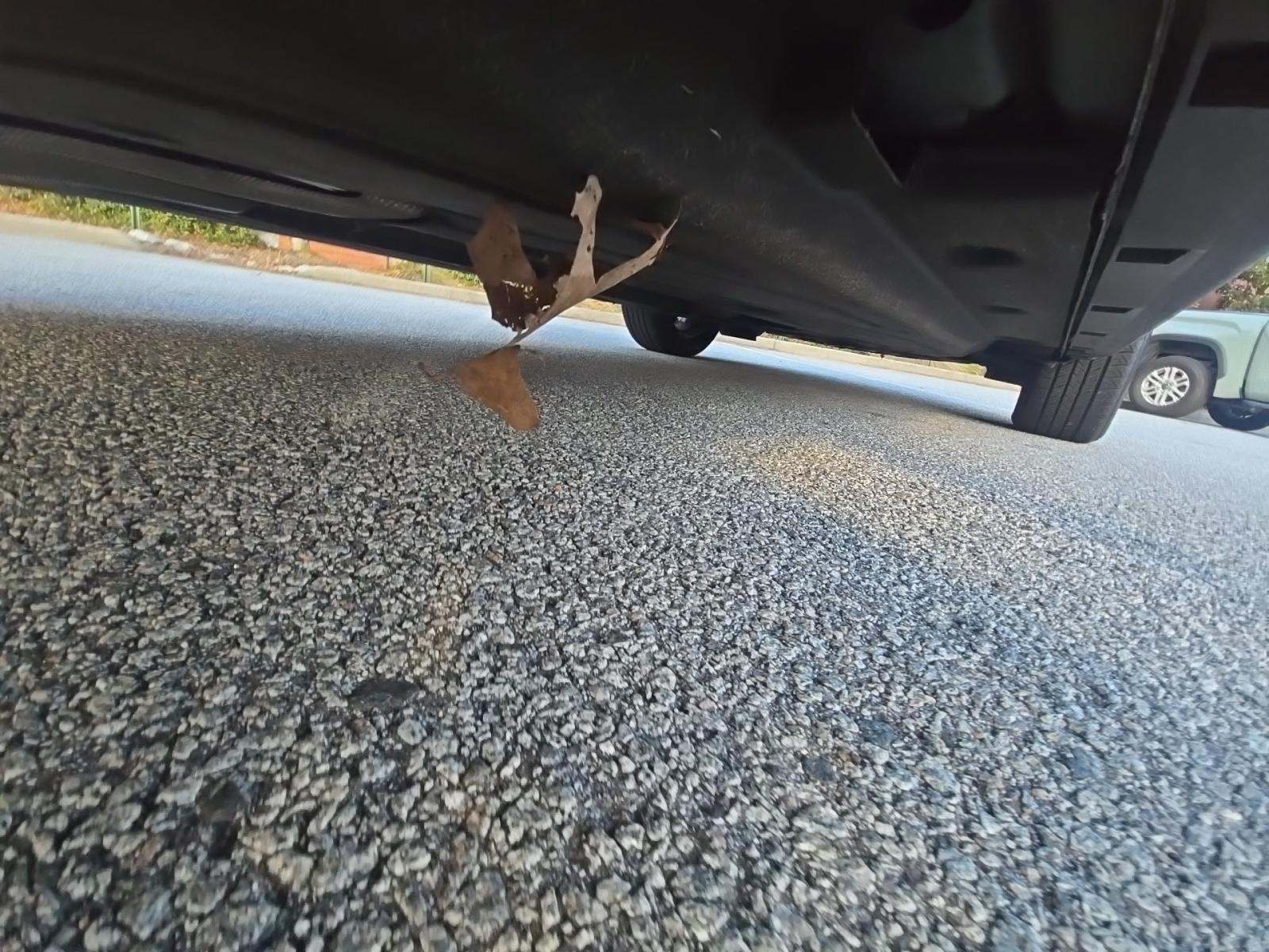 2022 Ford Escape SEL AWD