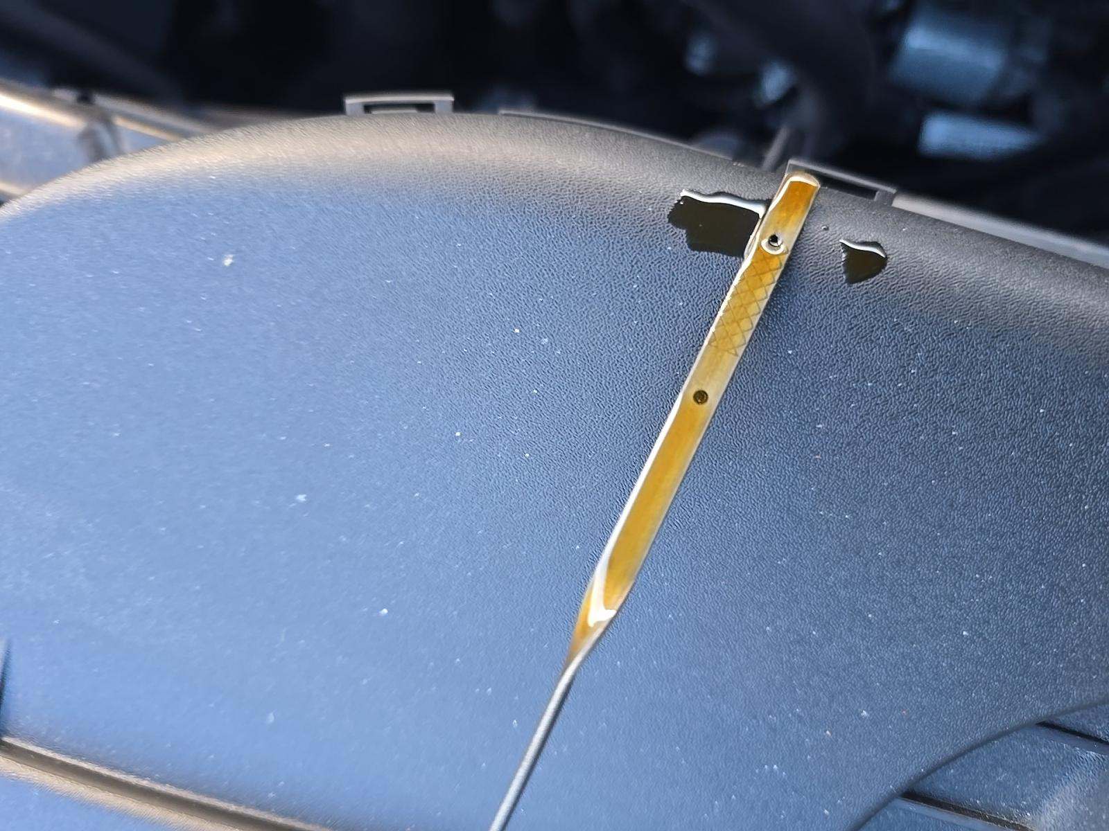 2022 Ford Escape SEL AWD