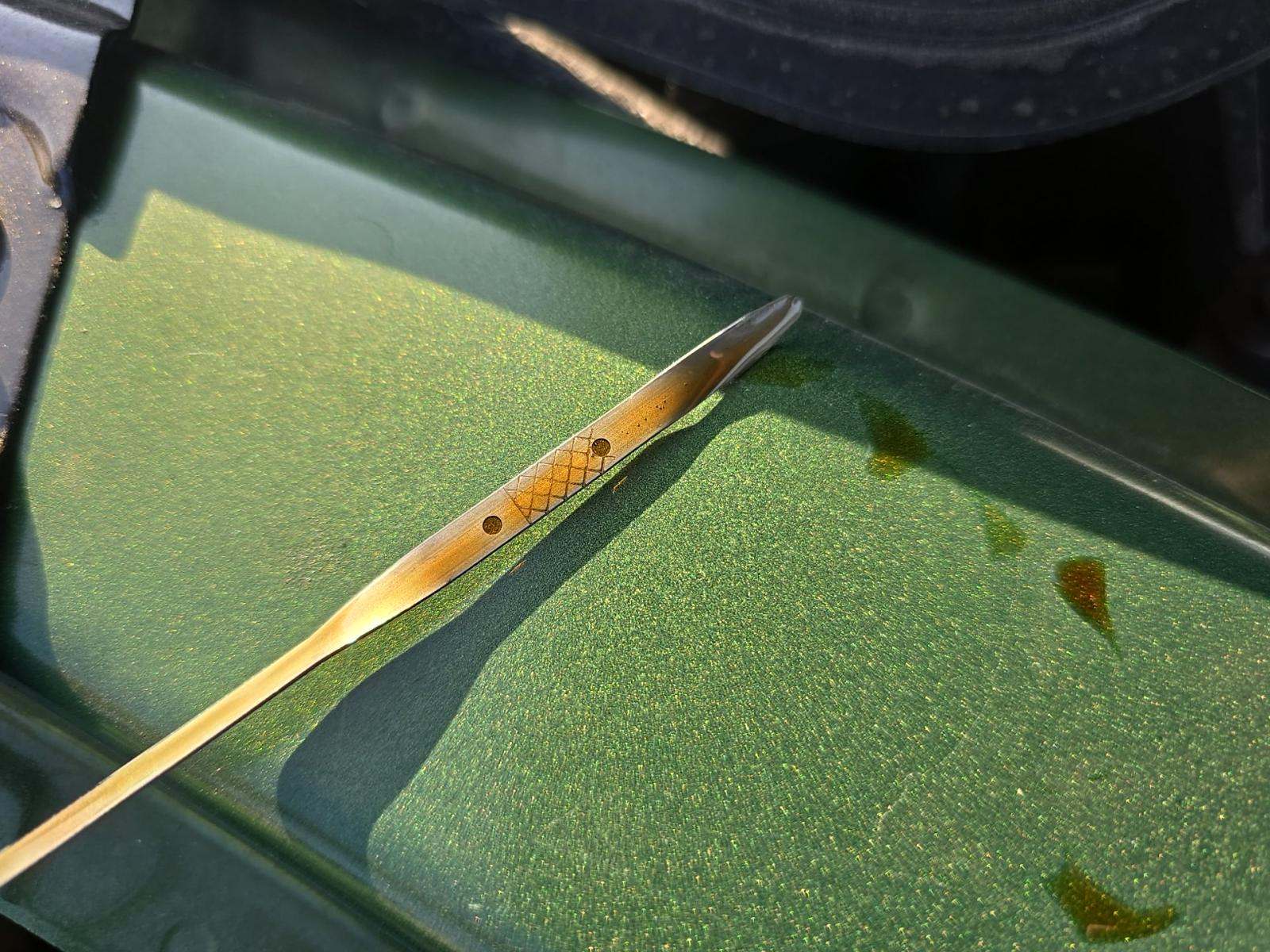 2022 Ford Mustang Mach 1 RWD