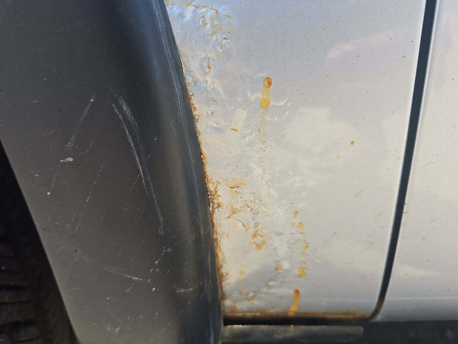 2011 Ford F-150 FX4 AWD