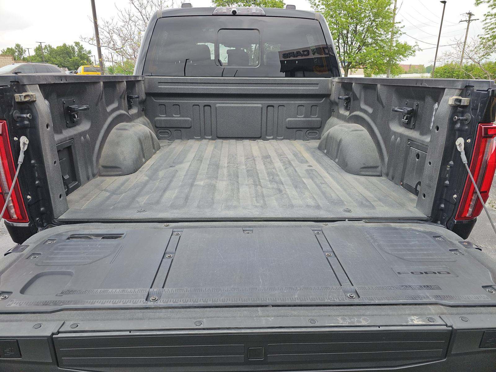 FORD F-150 - 10