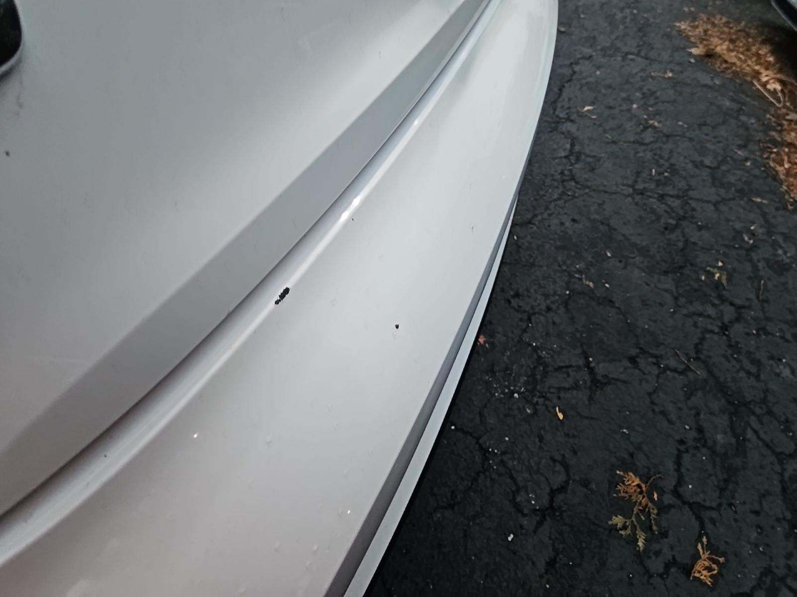 2019 Audi S5 Premium Plus AWD