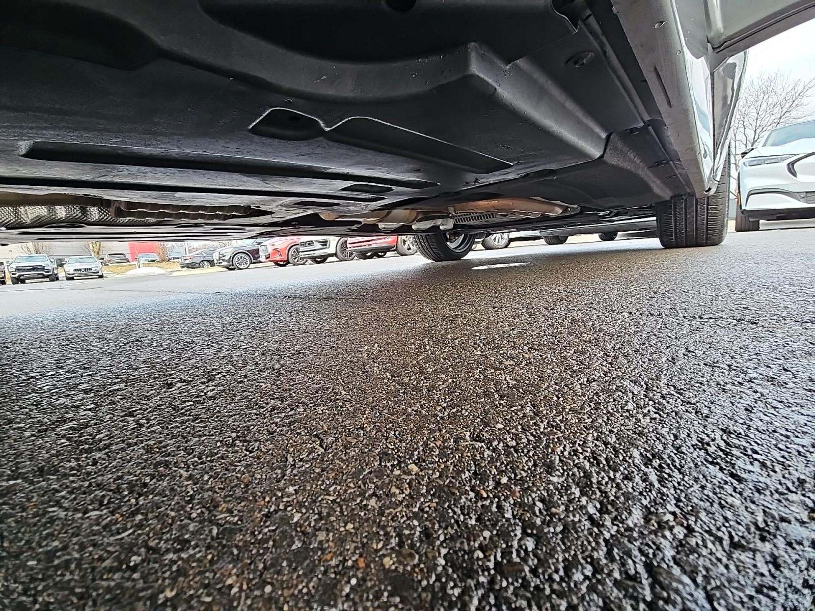 2021 BMW X4 M Base AWD