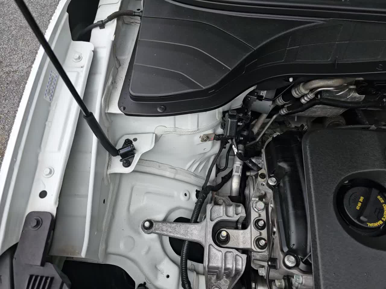 2020 Hyundai Kona SEL Plus FWD