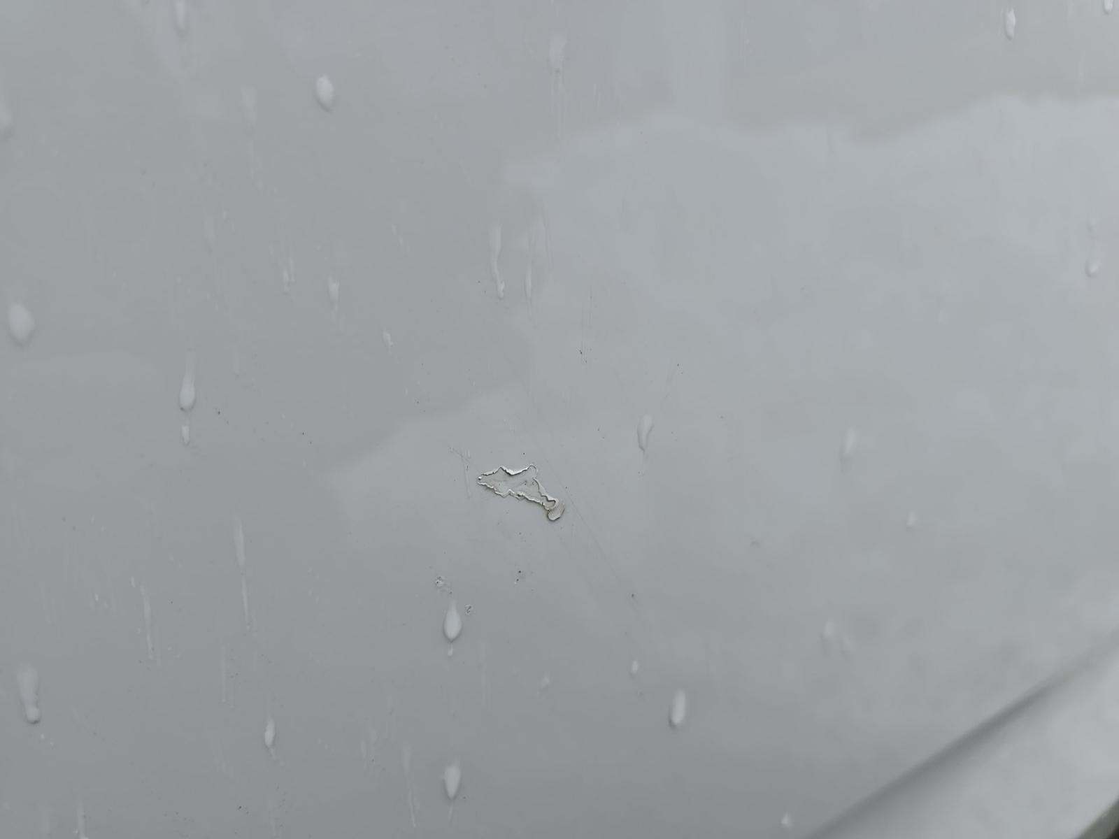 2019 BMW 5 Series 530i xDrive AWD