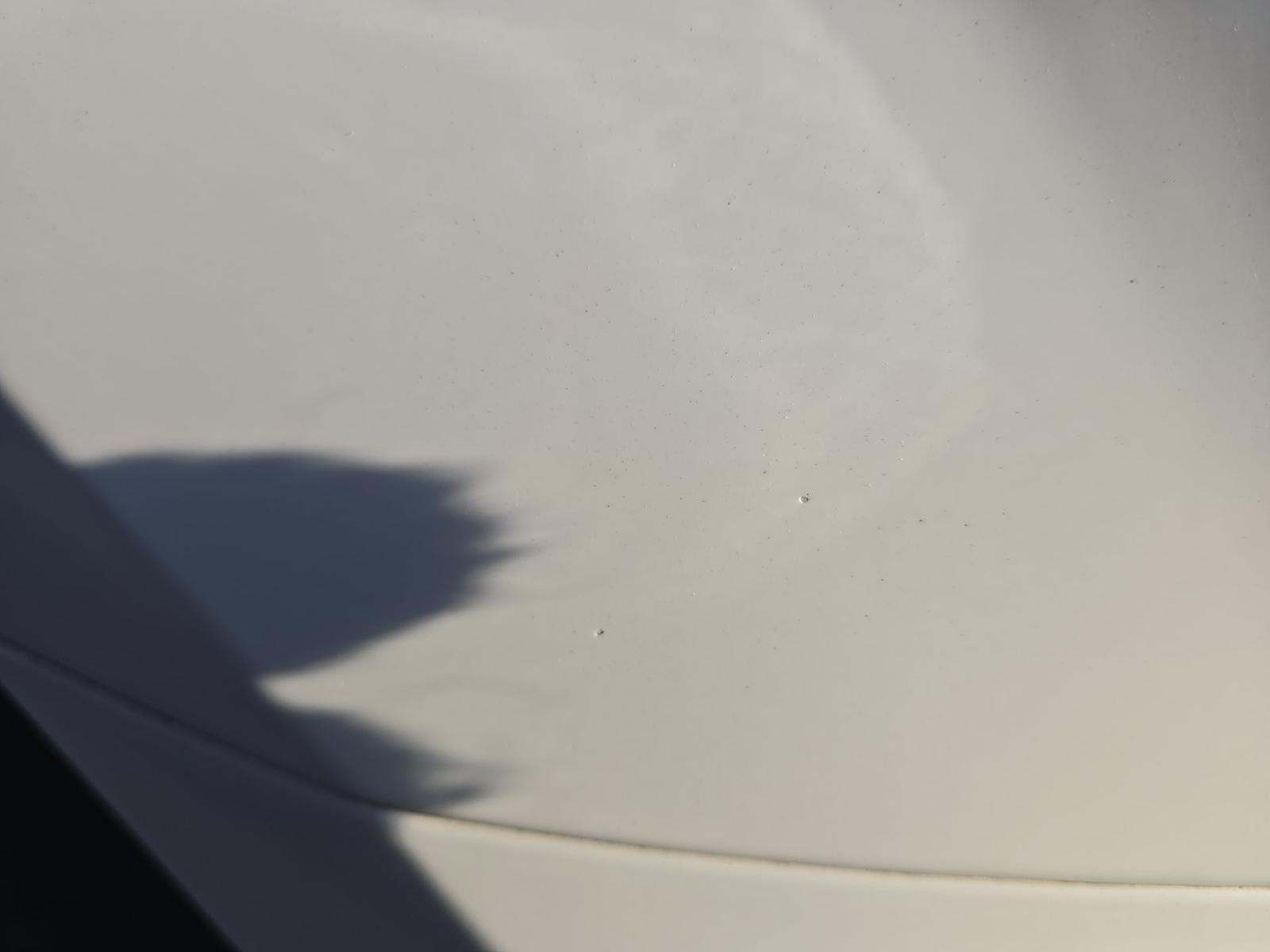 2019 Ford F-150 XLT AWD