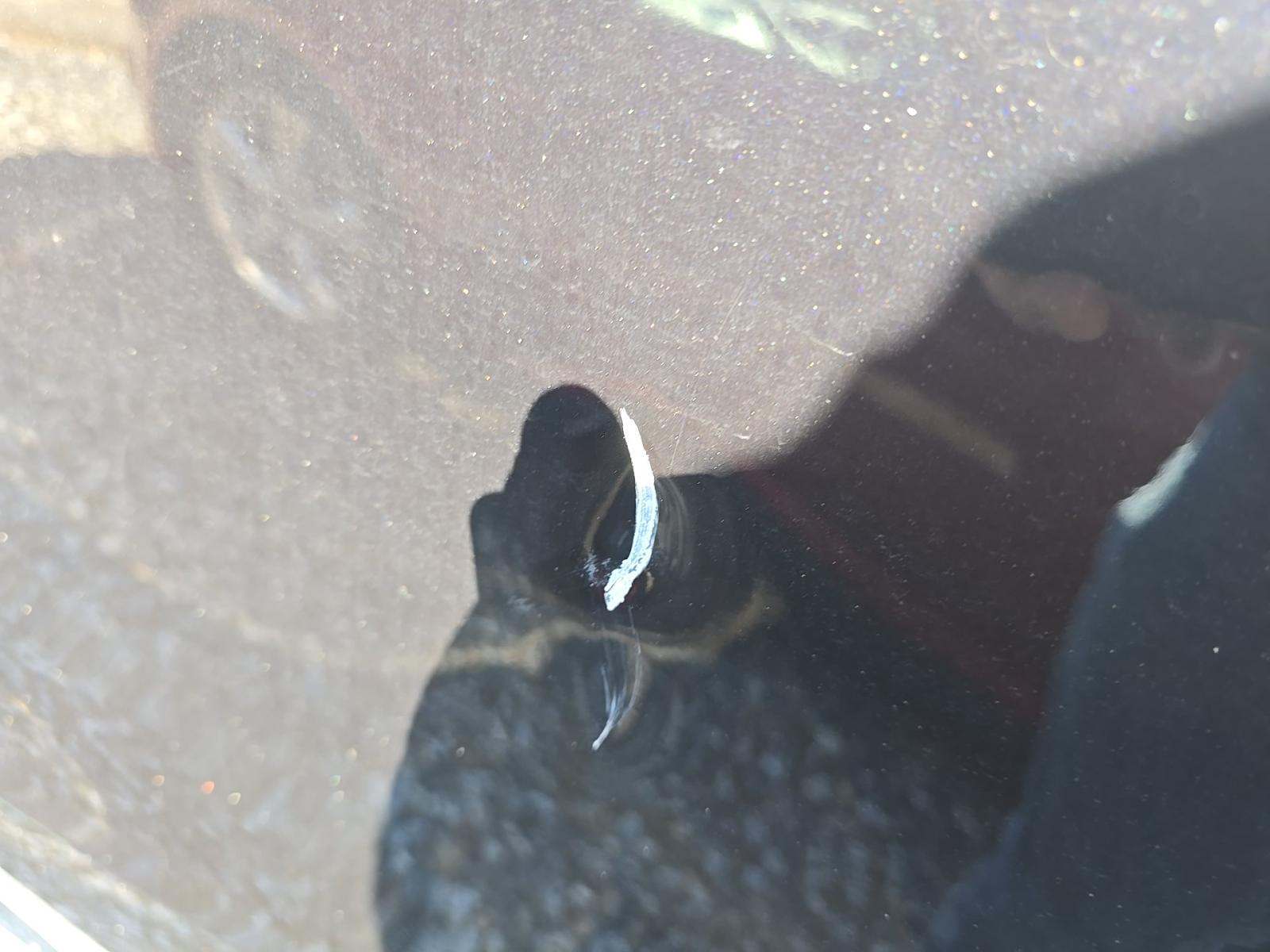 2024 Ford Explorer XLT AWD