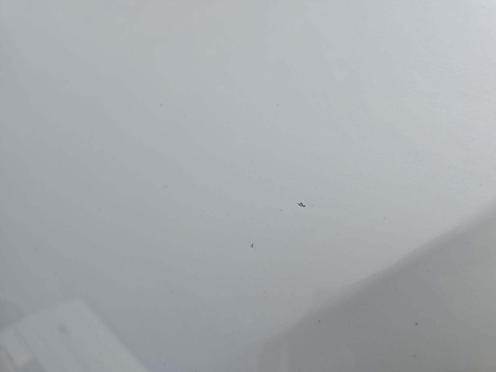 2022 BMW 8 Series M850i xDrive AWD