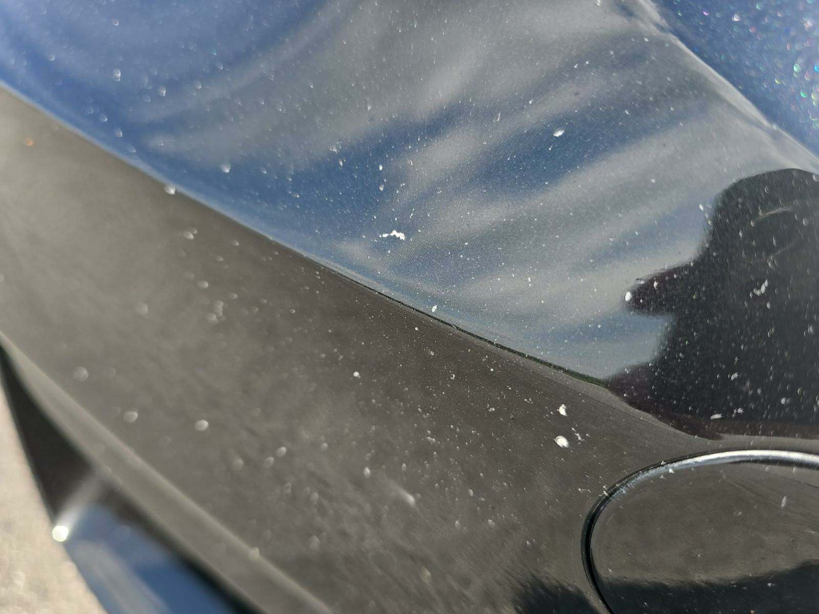 2015 BMW M4 Base RWD