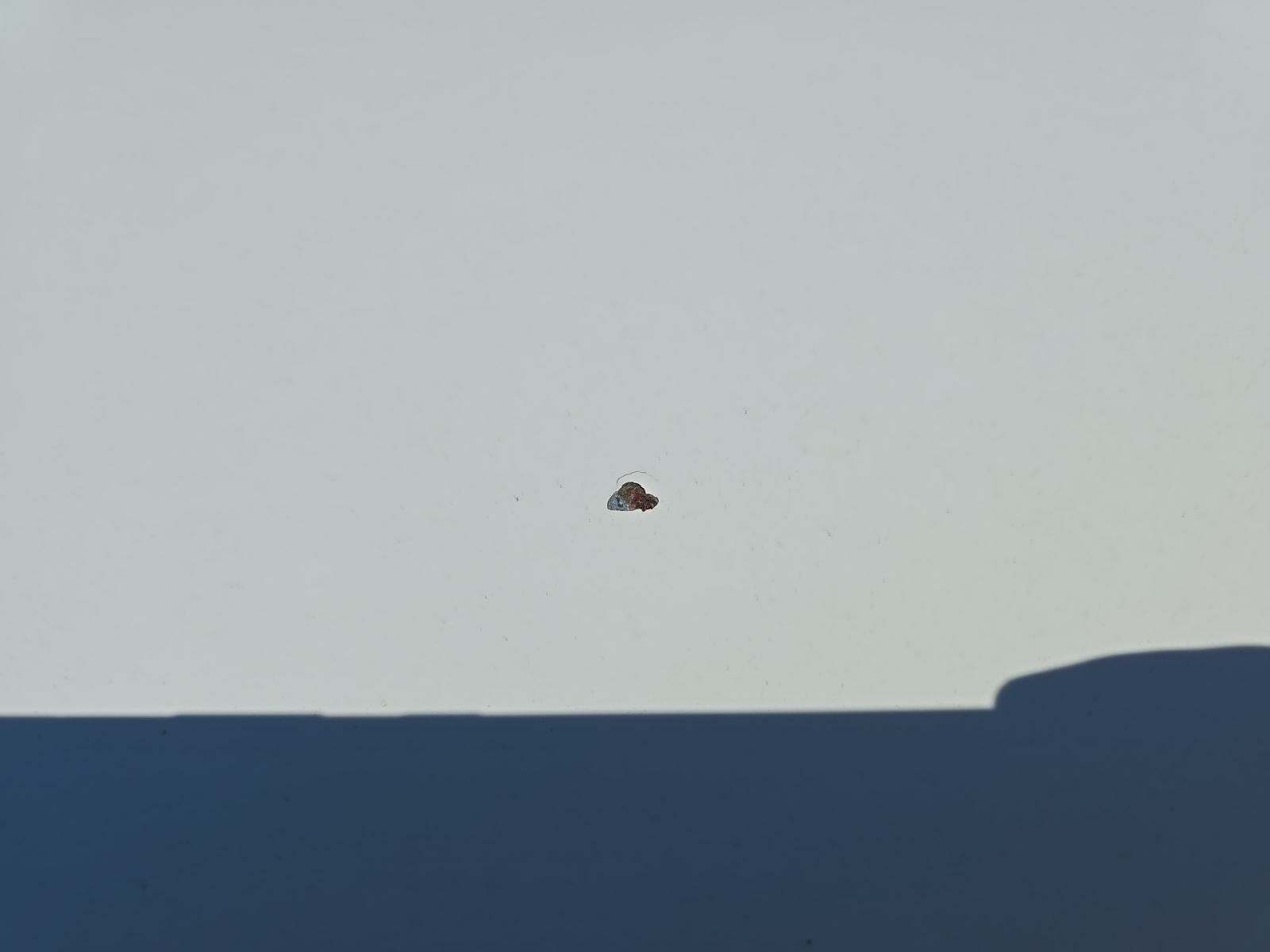 2011 BMW 3 Series 328i RWD