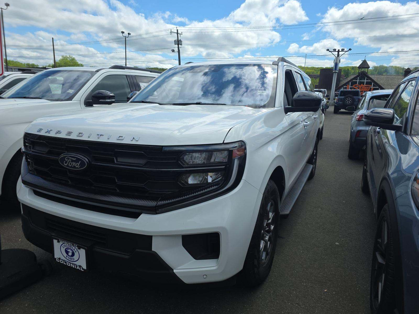 FORD EXPEDITION MAX - 1