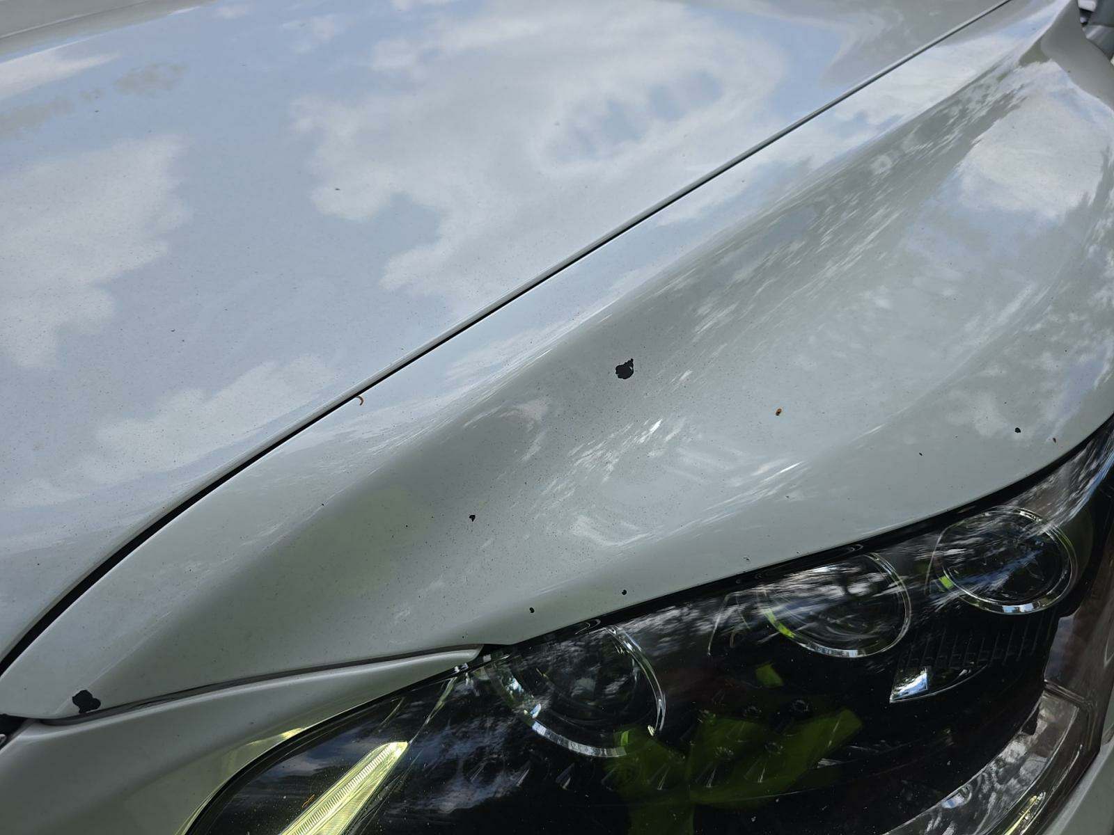 2015 Lexus LS LS 460 AWD