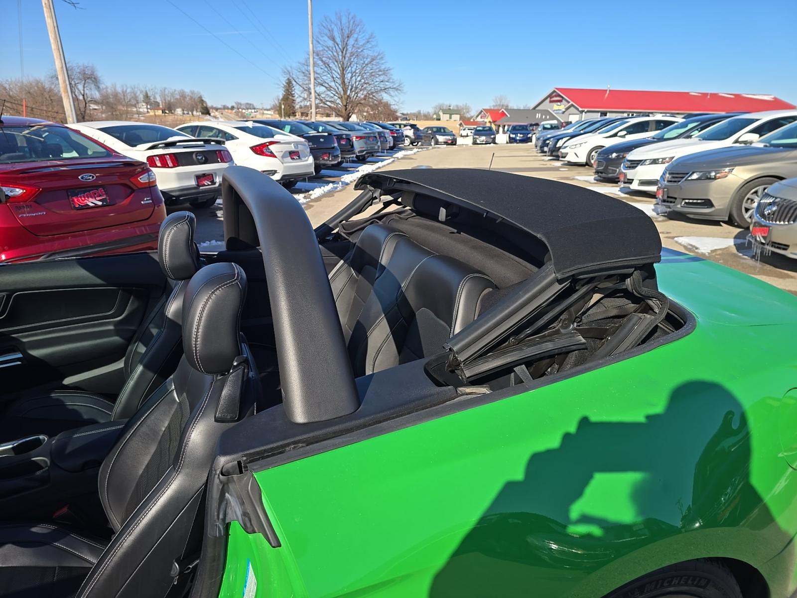 2019 Ford Mustang GT Premium RWD