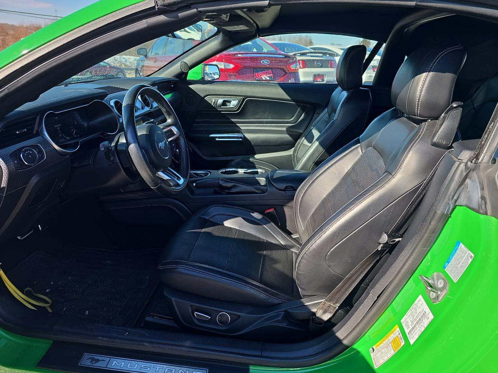 2019 Ford Mustang GT Premium RWD