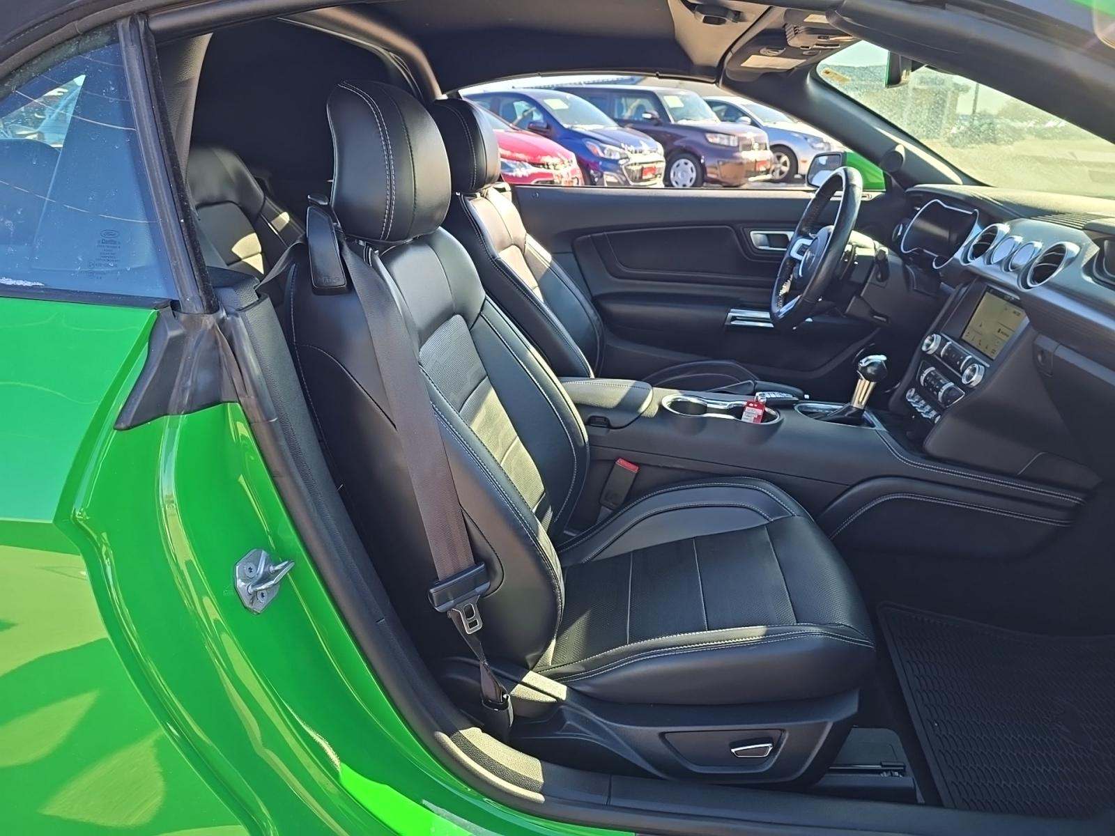 2019 Ford Mustang GT Premium RWD