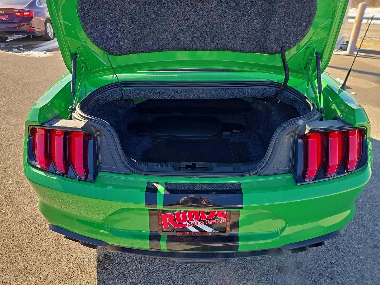 2019 Ford Mustang GT Premium RWD