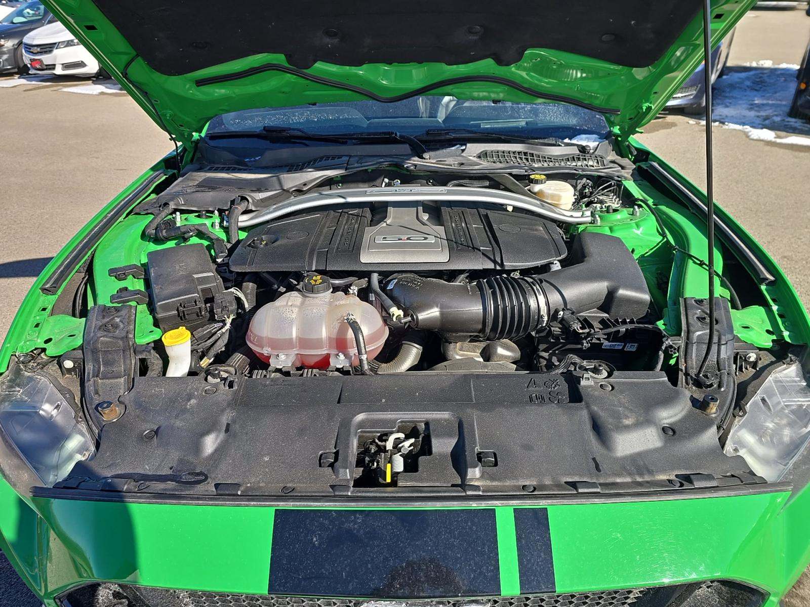 2019 Ford Mustang GT Premium RWD