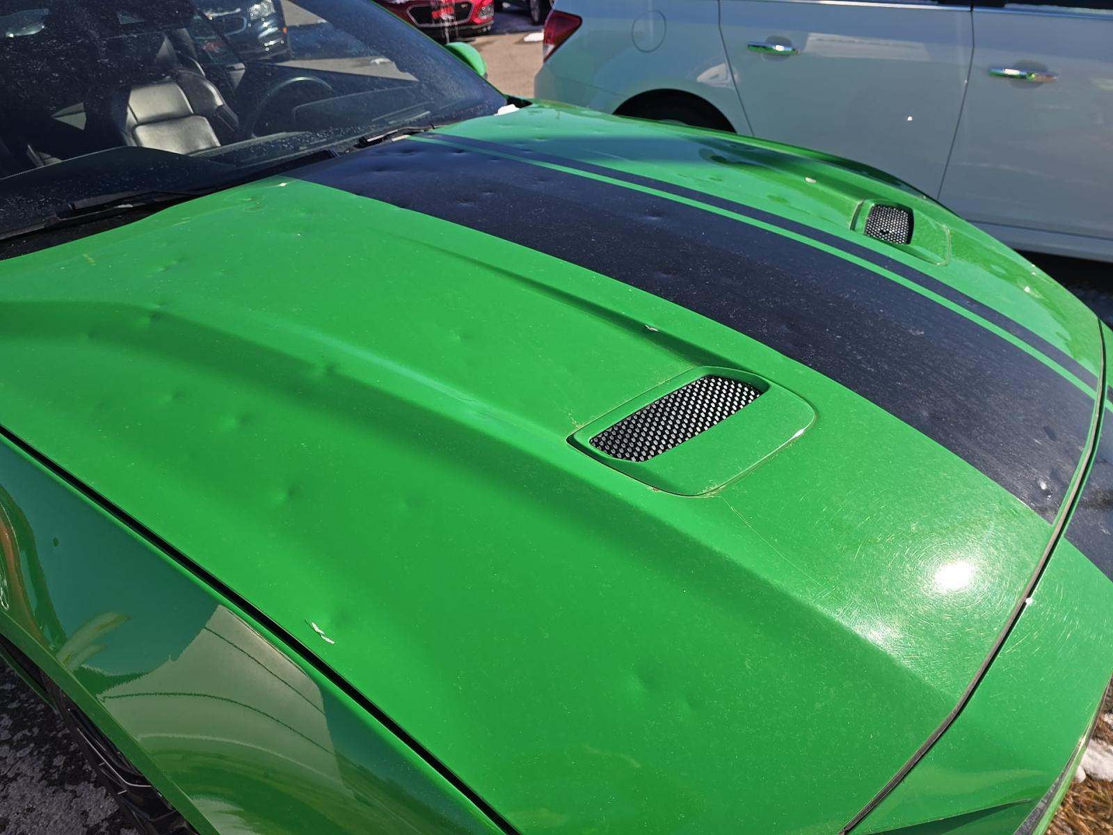 2019 Ford Mustang GT Premium RWD