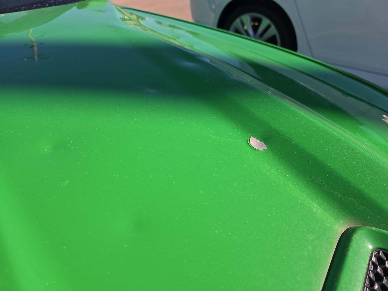 2019 Ford Mustang GT Premium RWD