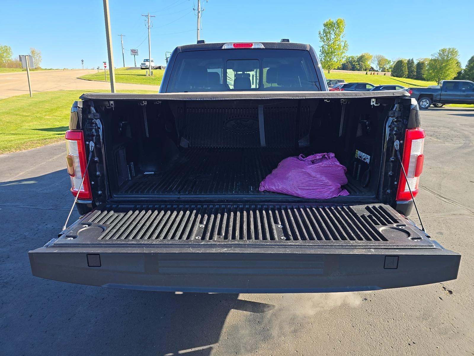 FORD F-150 - 10
