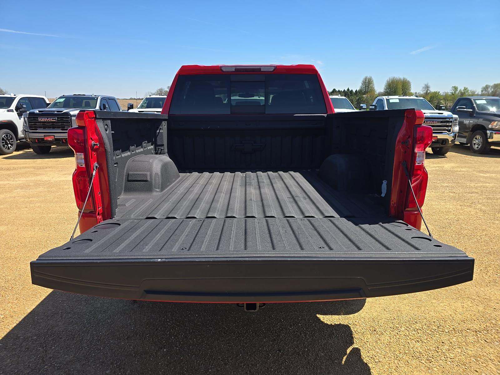 CHEVROLET SILVERADO - 10