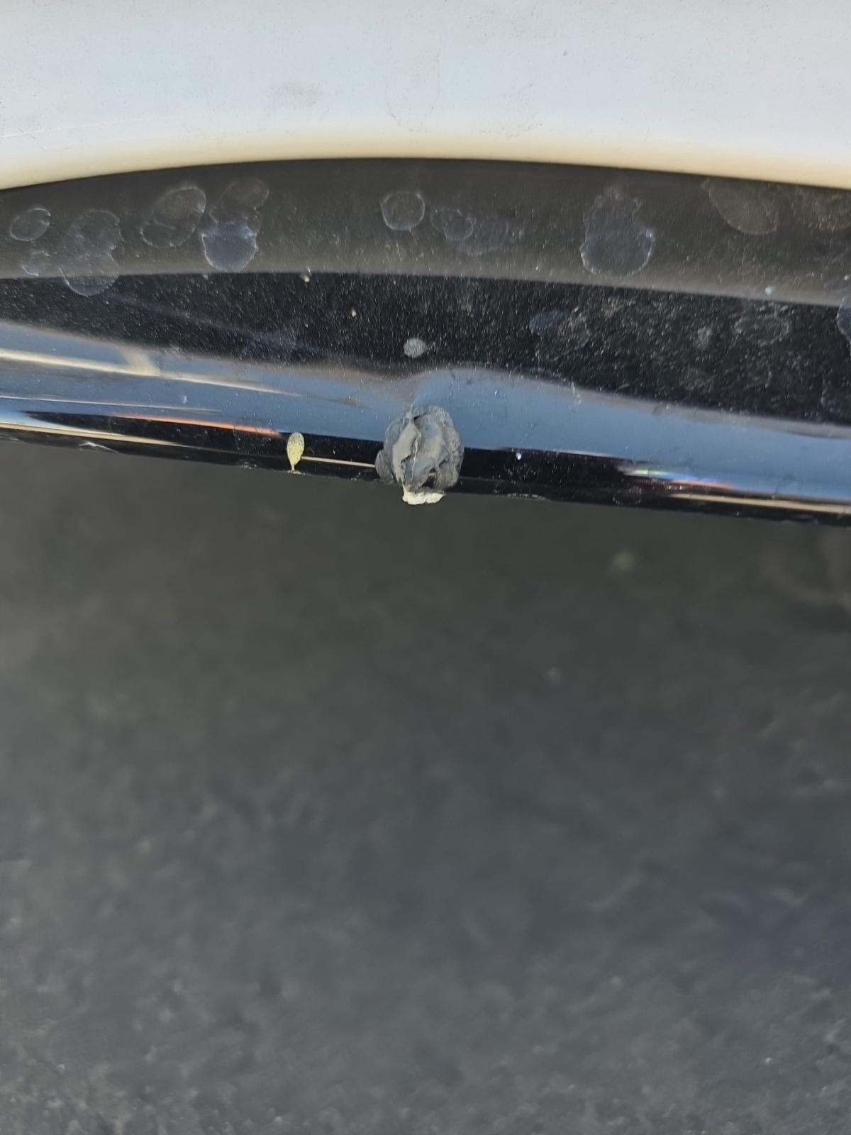 2023 Mercedes-Benz C-Class AMG C 63 S RWD