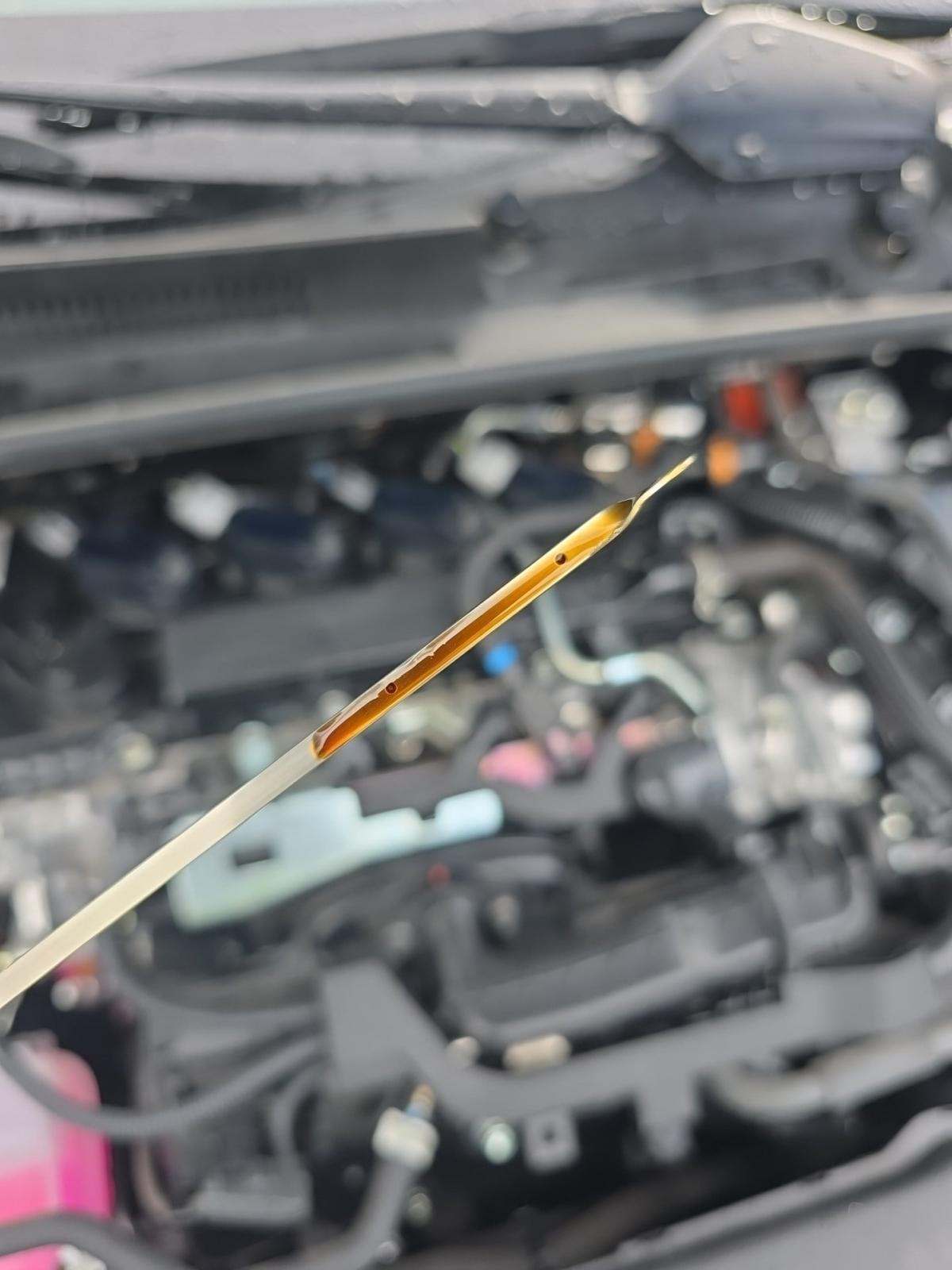 2024 Toyota Prius LE FWD