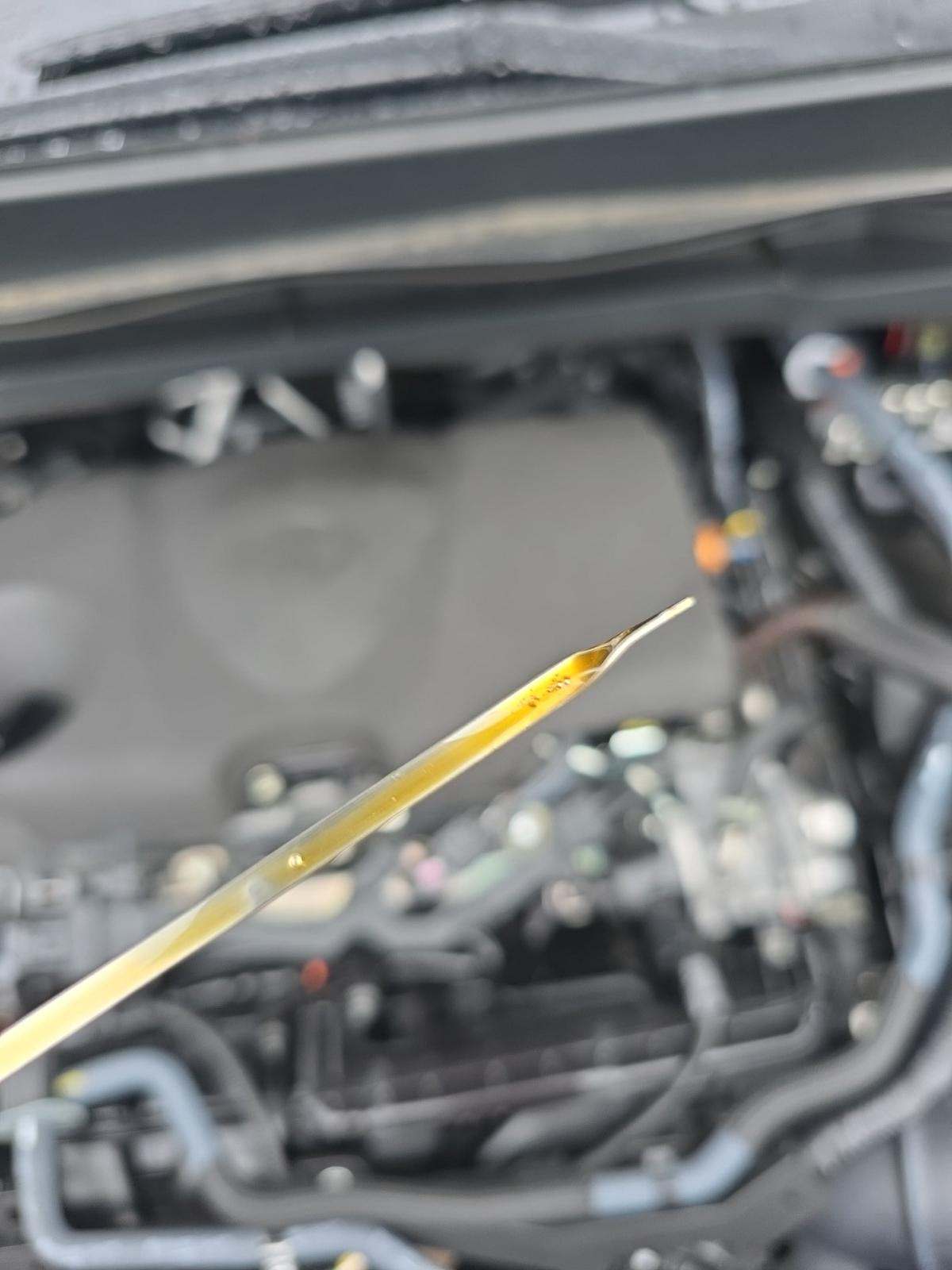 2023 Toyota Sienna XLE FWD