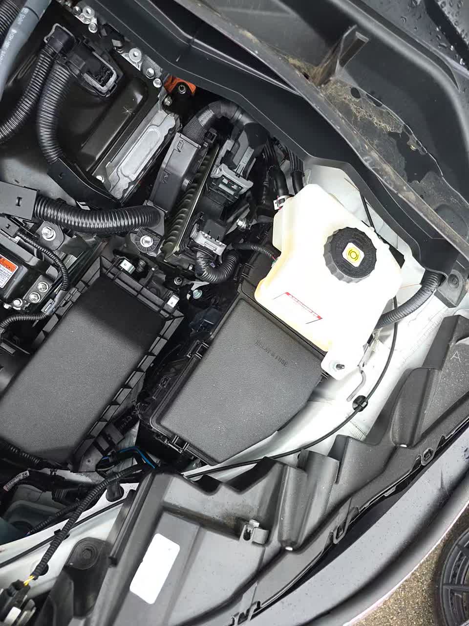 2023 Toyota Sienna XLE FWD