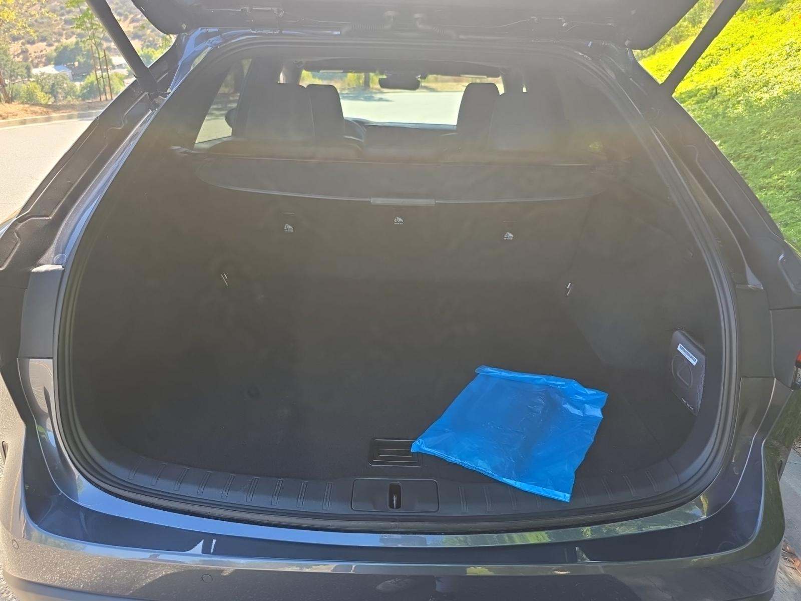 2025 Lexus RX RX 350 FWD