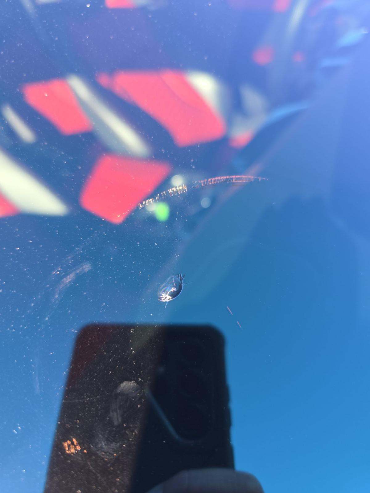 2019 Lamborghini Urus Base AWD