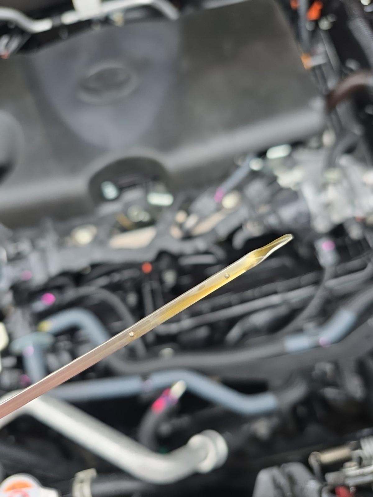 2024 Toyota RAV4 Prime XSE AWD