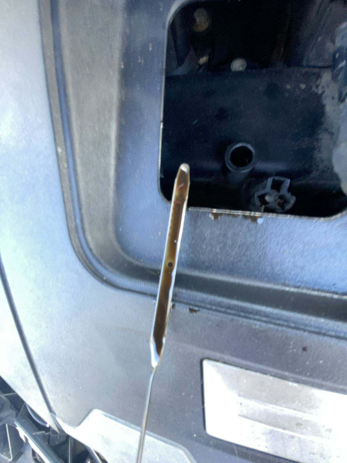 2015 Ford Focus ST FWD