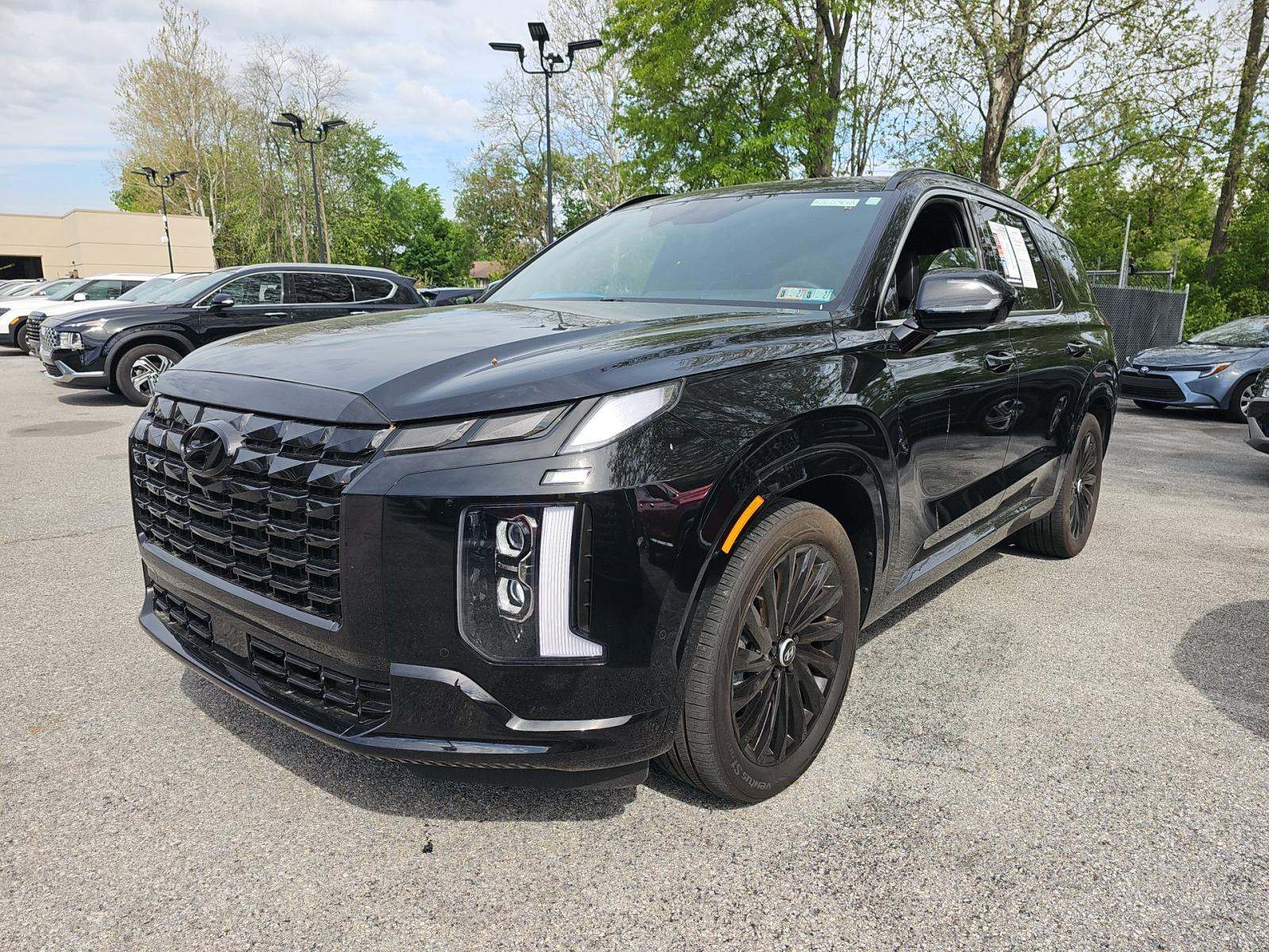 HYUNDAI PALISADE - 1
