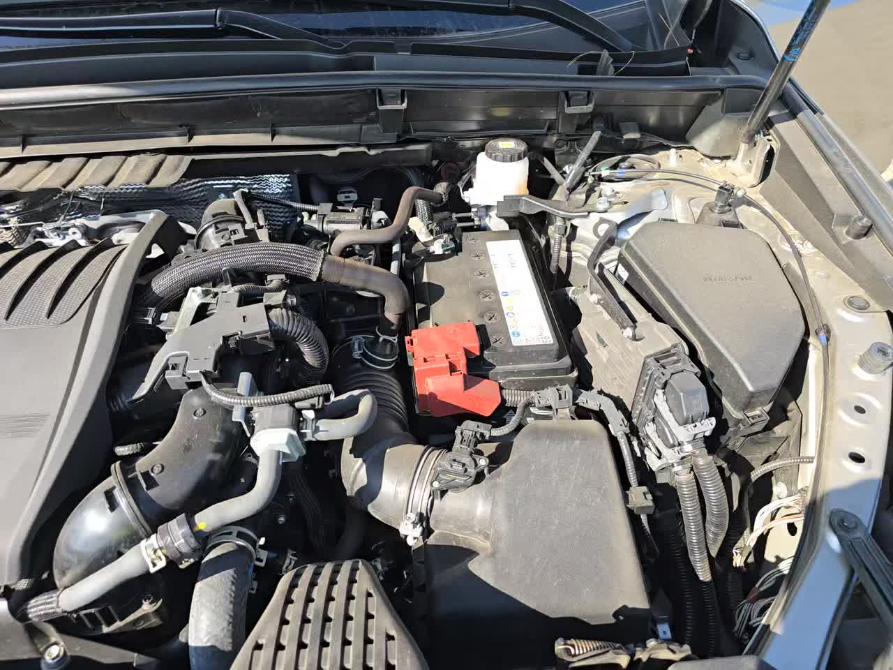 2022 Lexus NX NX 350 Luxury AWD