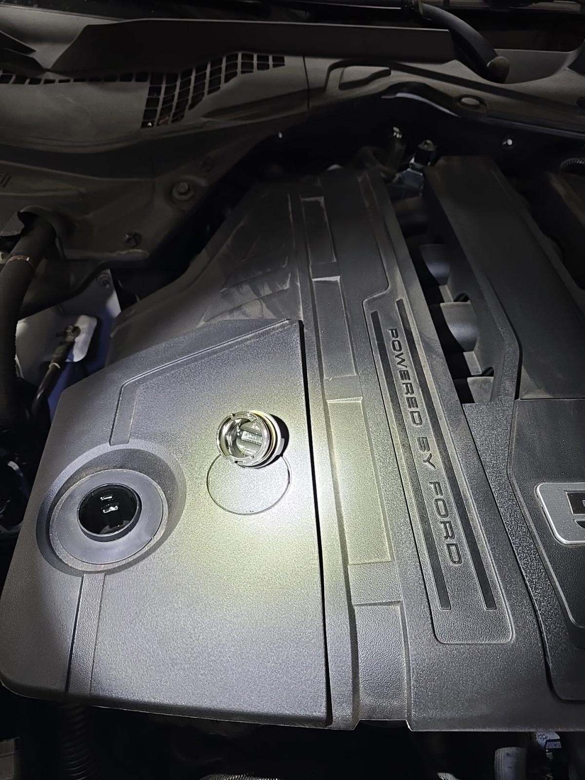 2023 Ford Mustang GT RWD