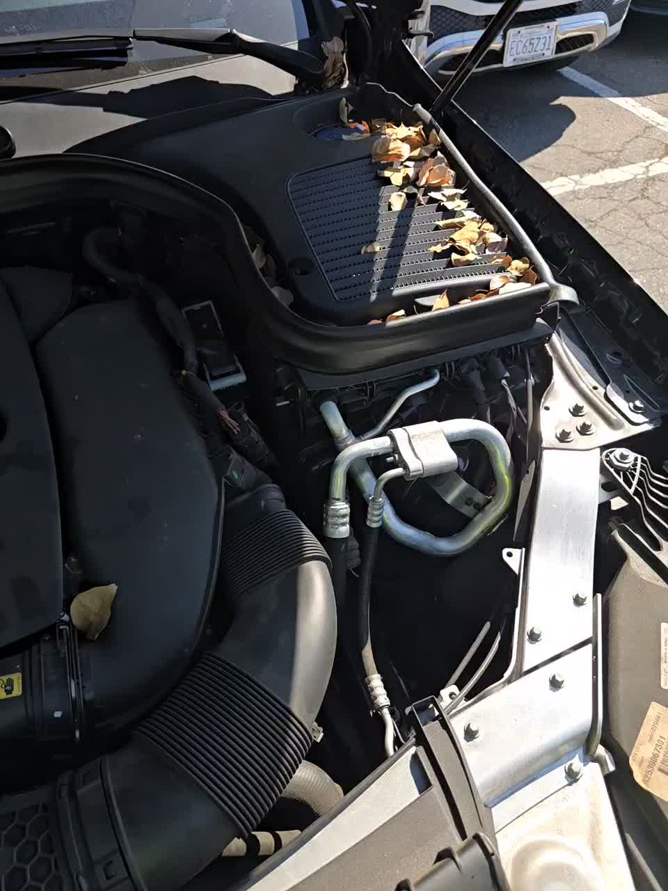 2020 Mercedes-Benz GLC GLC 300 RWD