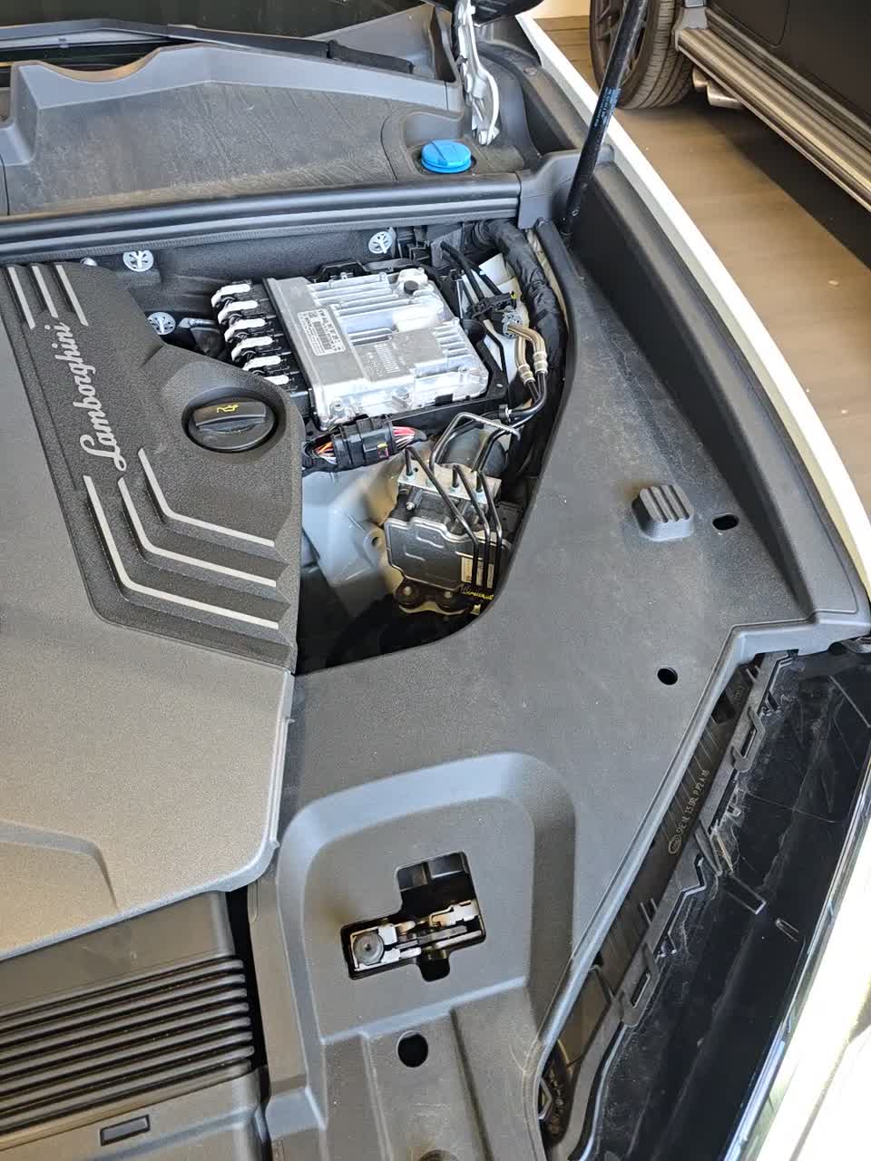 2024 Lamborghini Urus S AWD