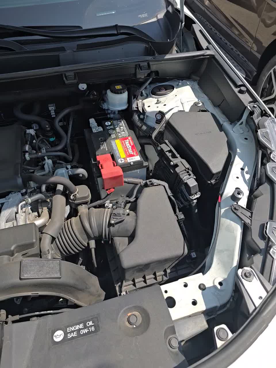 2019 Toyota RAV4 XLE AWD