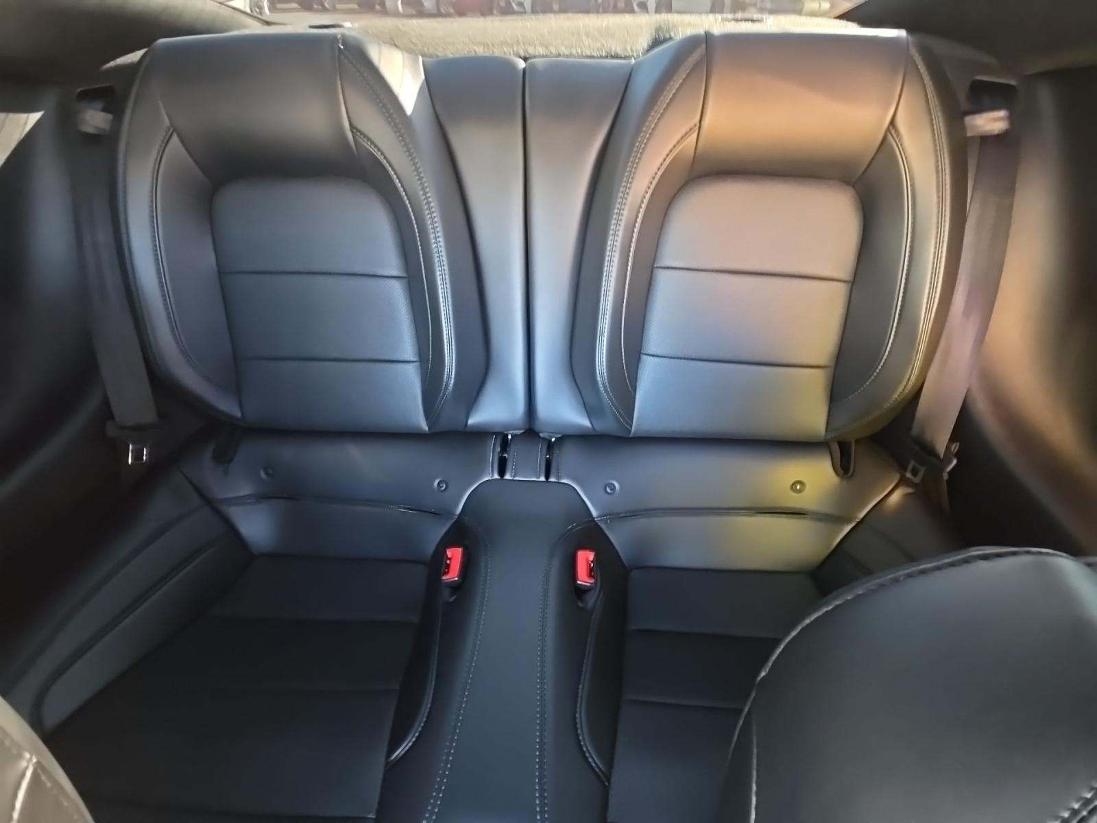 2019 Ford Mustang BULLITT RWD